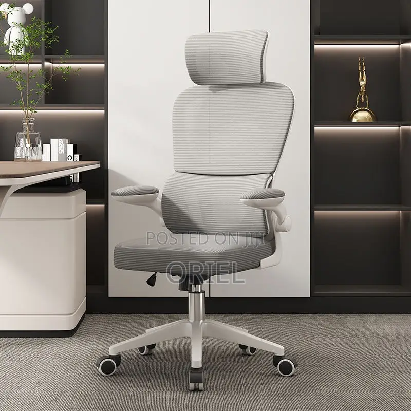 Office Chair : Jantens Ergonomic High Back Chair