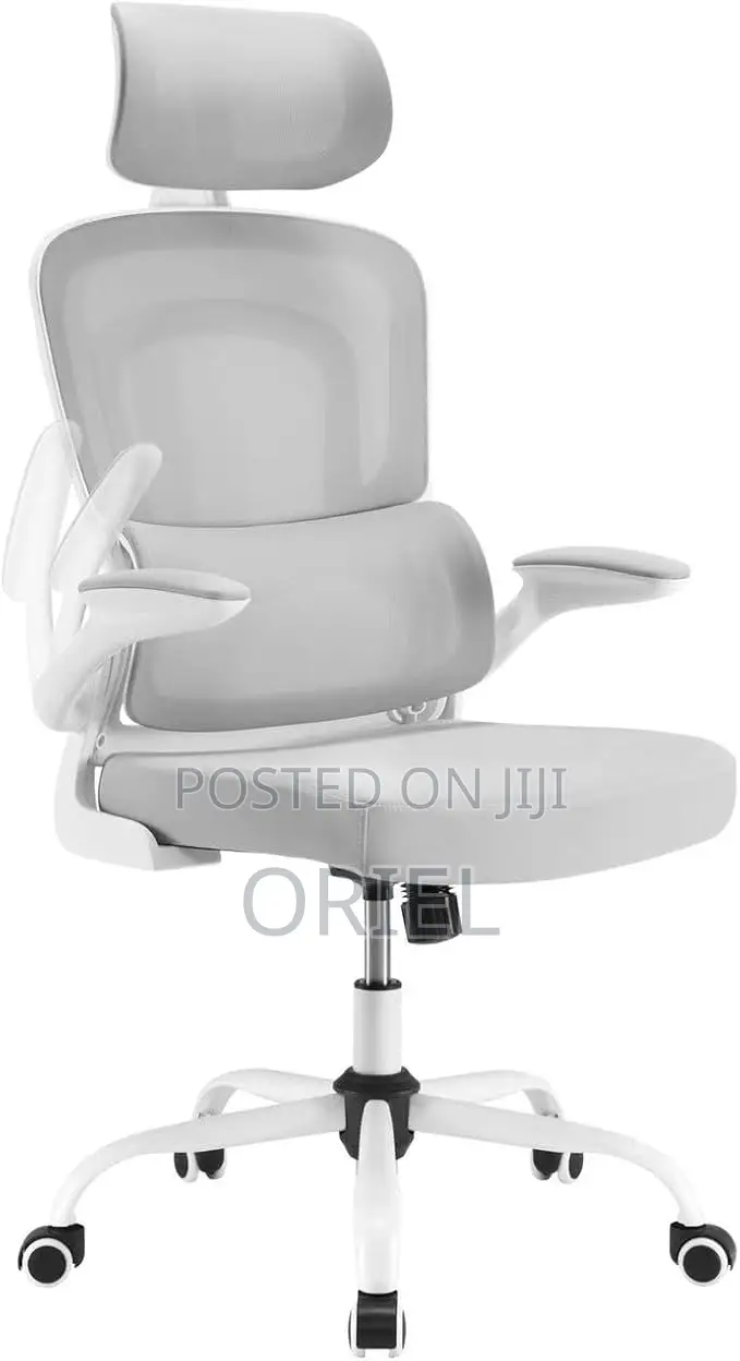 Office Chair : Jantens Ergonomic High Back Chair