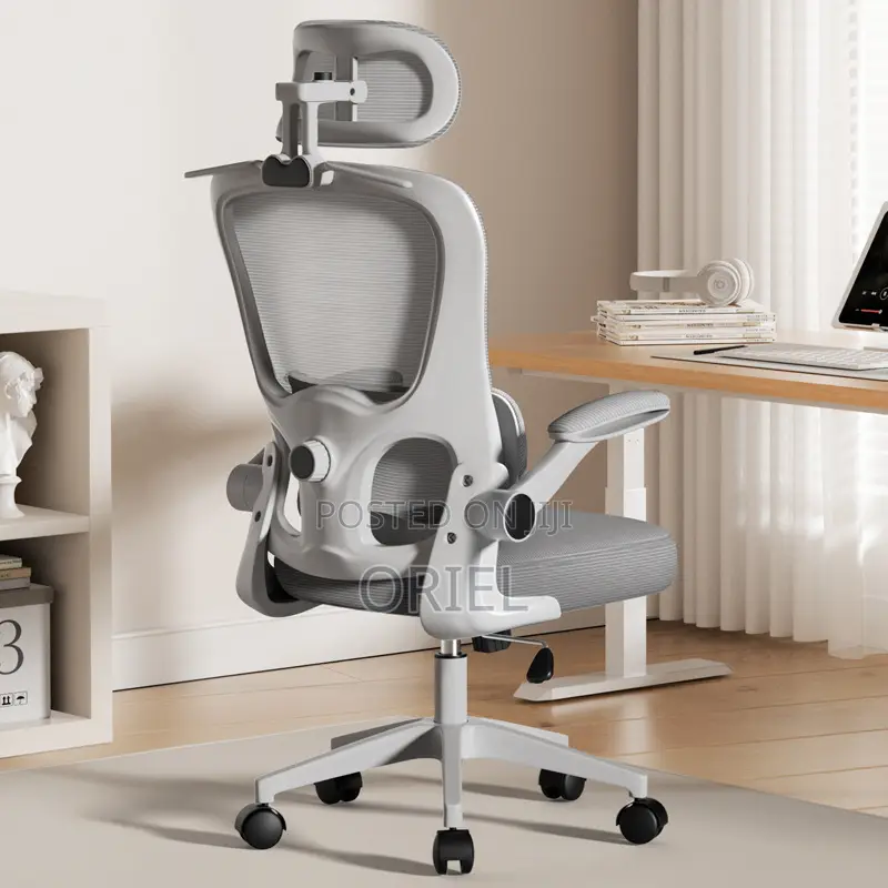 Office Chair : Jantens Ergonomic High Back Chair