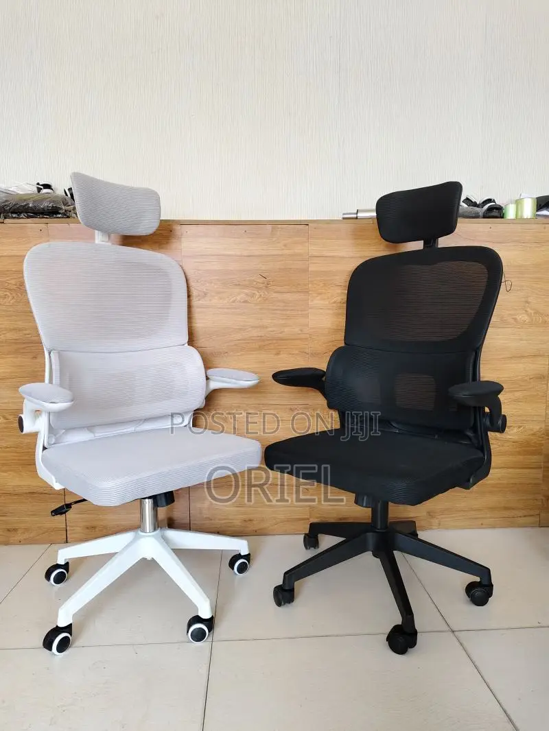 Office Chair : Jantens Ergonomic High Back Chair