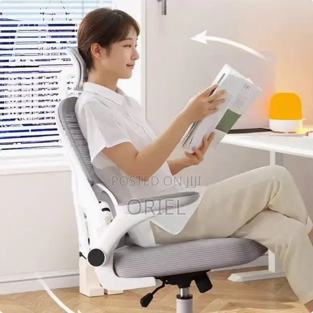 Office Chair : Jantens Ergonomic High Back Chair