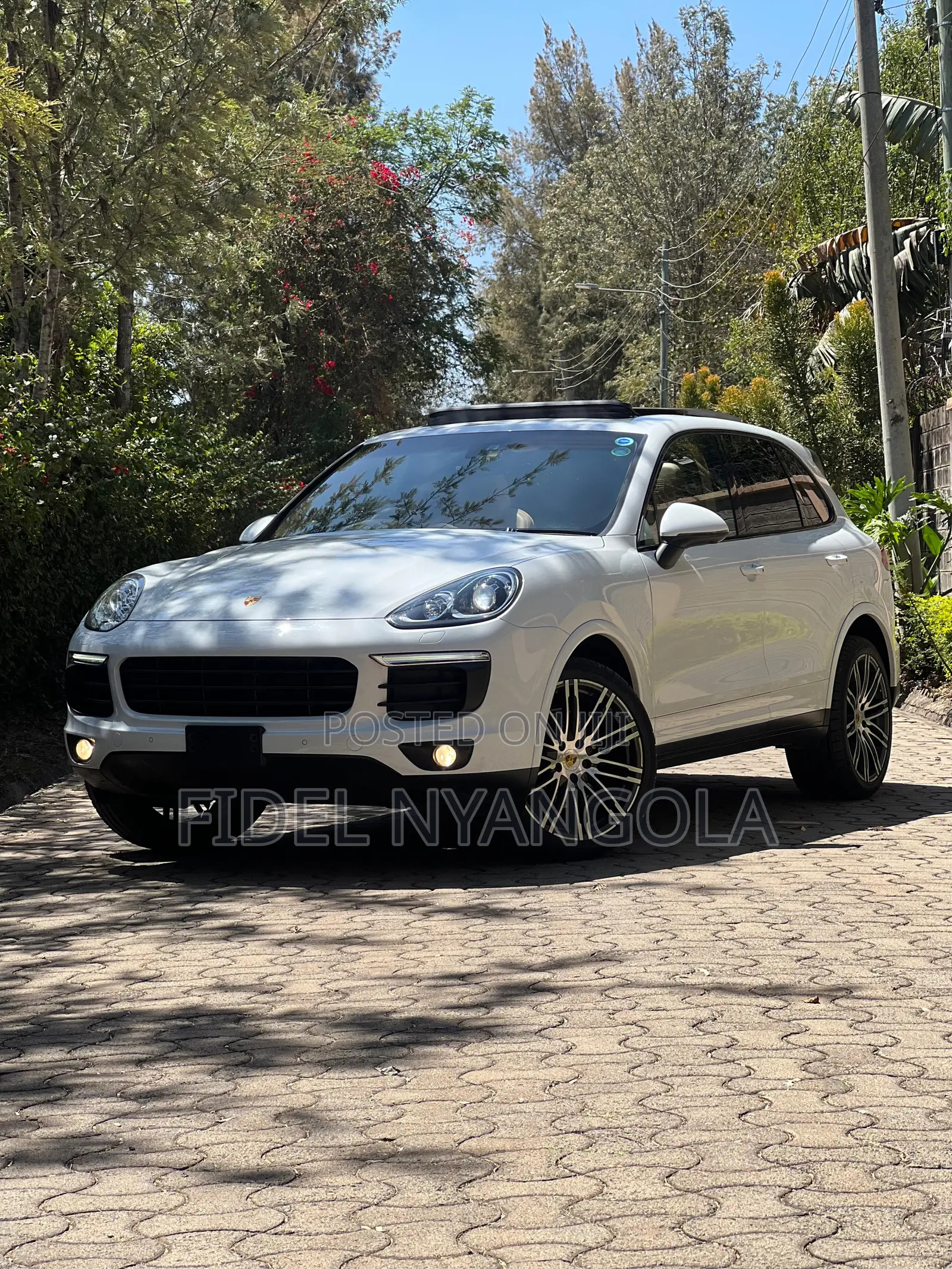 Porsche Cayenne Platinum Edition AWD 2018 White