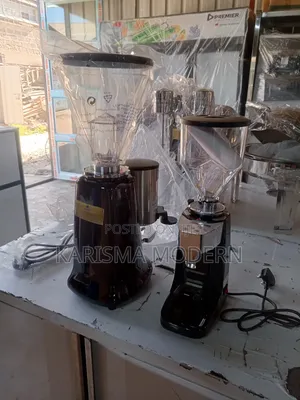 Electric Coffee Grinder
