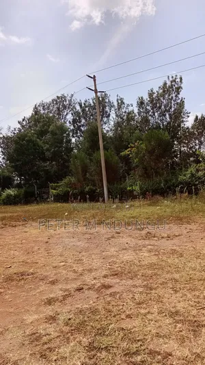 Prime Land for Lease Touching Northern Bypass