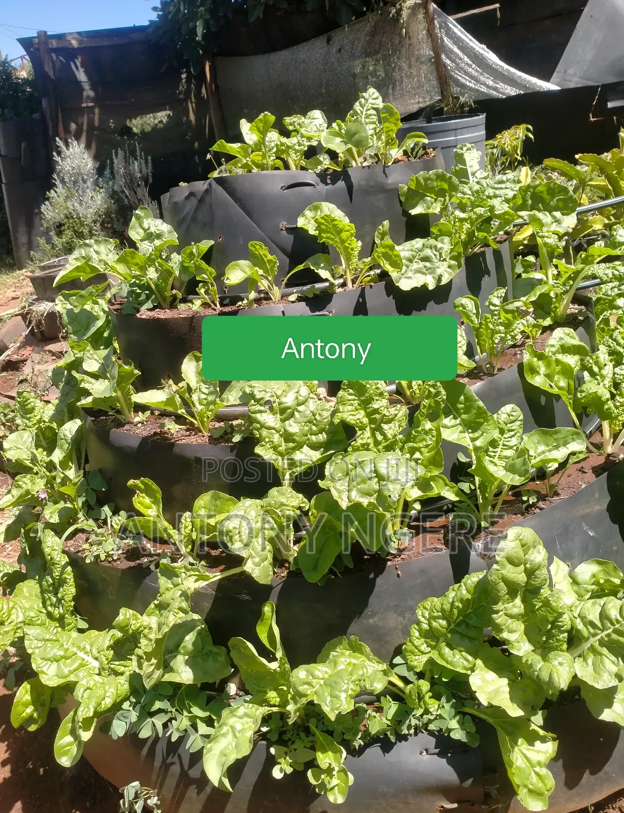 Vertical Garden Making Material