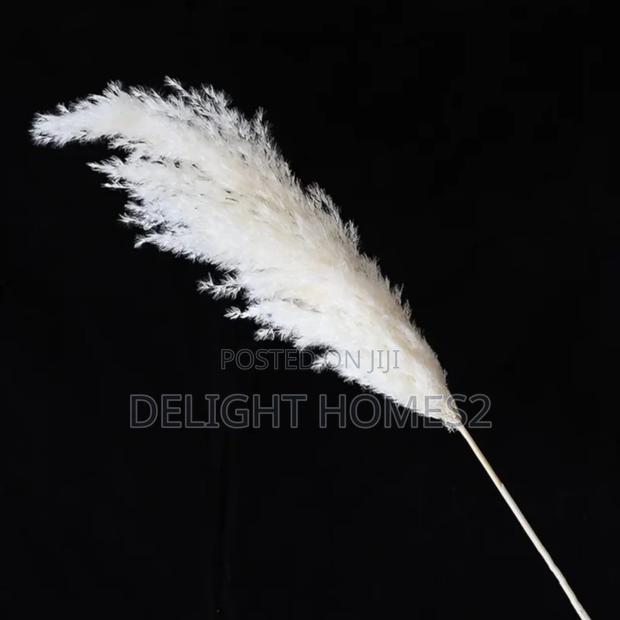 Natural Dried Pampas Grass_ele - thumbnail 2
