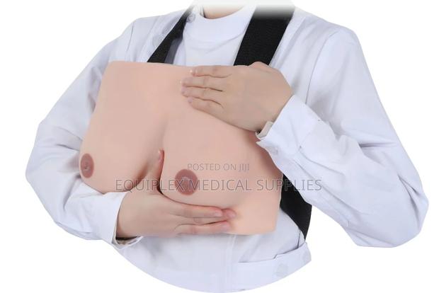 Wearable Breast Model For Clinical Examination Training - main view