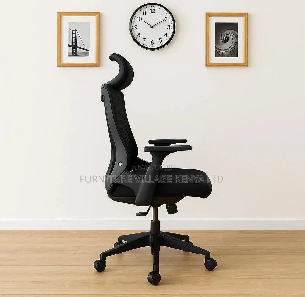 High-back Chairs: Exeutive Lama Orthopedic Office Seat