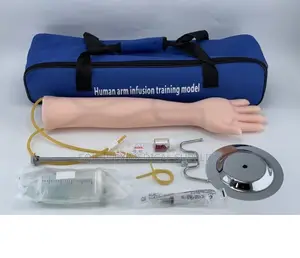 Iv Injection Model for Clinical Procedure Training