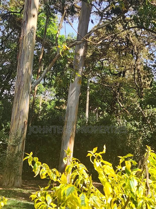 2.6 Acres for Sale in Karen Windyrage