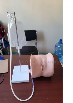 Advanced Female Catheterization Model for Urological Training
