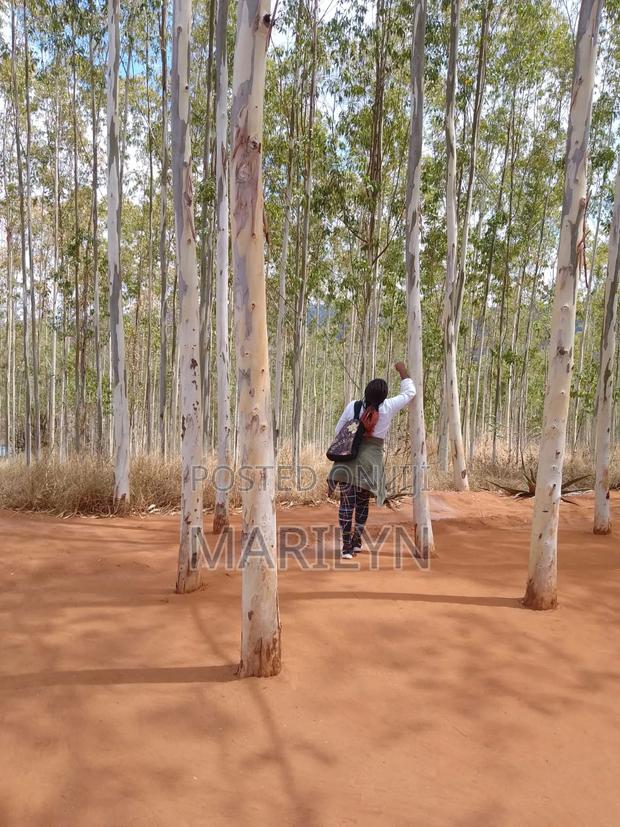 Land For Sale - main view