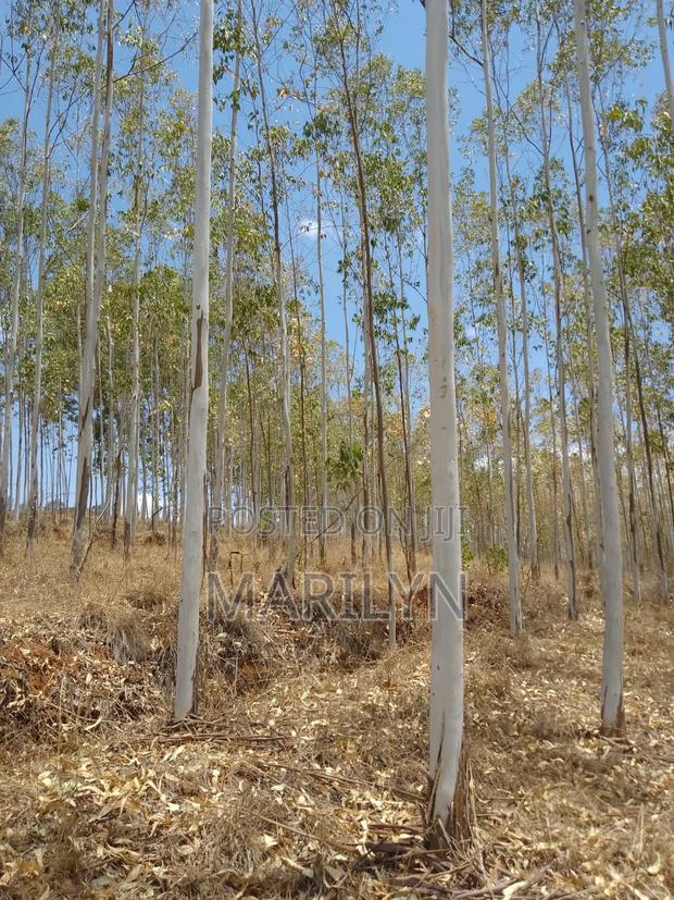 Land For Sale - thumbnail 2