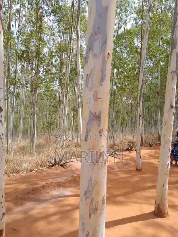 Land For Sale - thumbnail 3