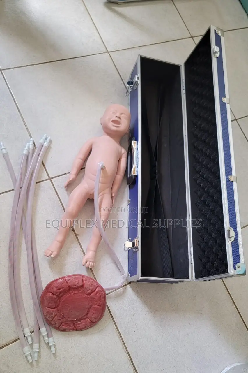 Newborn Baby Model With Placenta