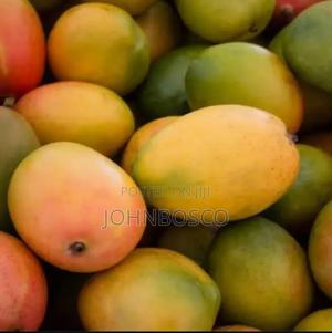 Mangoes and Orange - main view