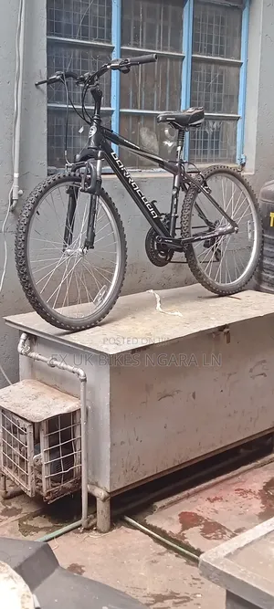 Ex Uk Size 24 Dunlop Bicycle for 8-10 Yr Old