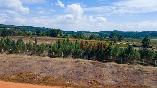 Jewel Estate Kikuyu - thumbnail 2