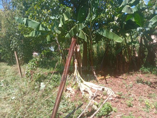 4.3 Acres Farm Land for Sale Plus a House(8 Rooms in Total)