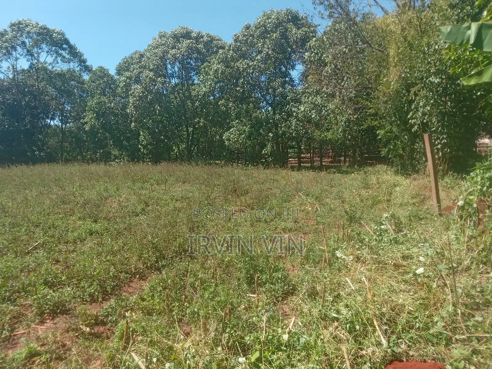4.3 Acres Farm Land for Sale Plus a House(8 Rooms in Total)