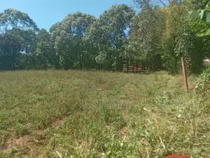 4.3 Acres Farm Land for Sale Plus a House(8 Rooms in Total)