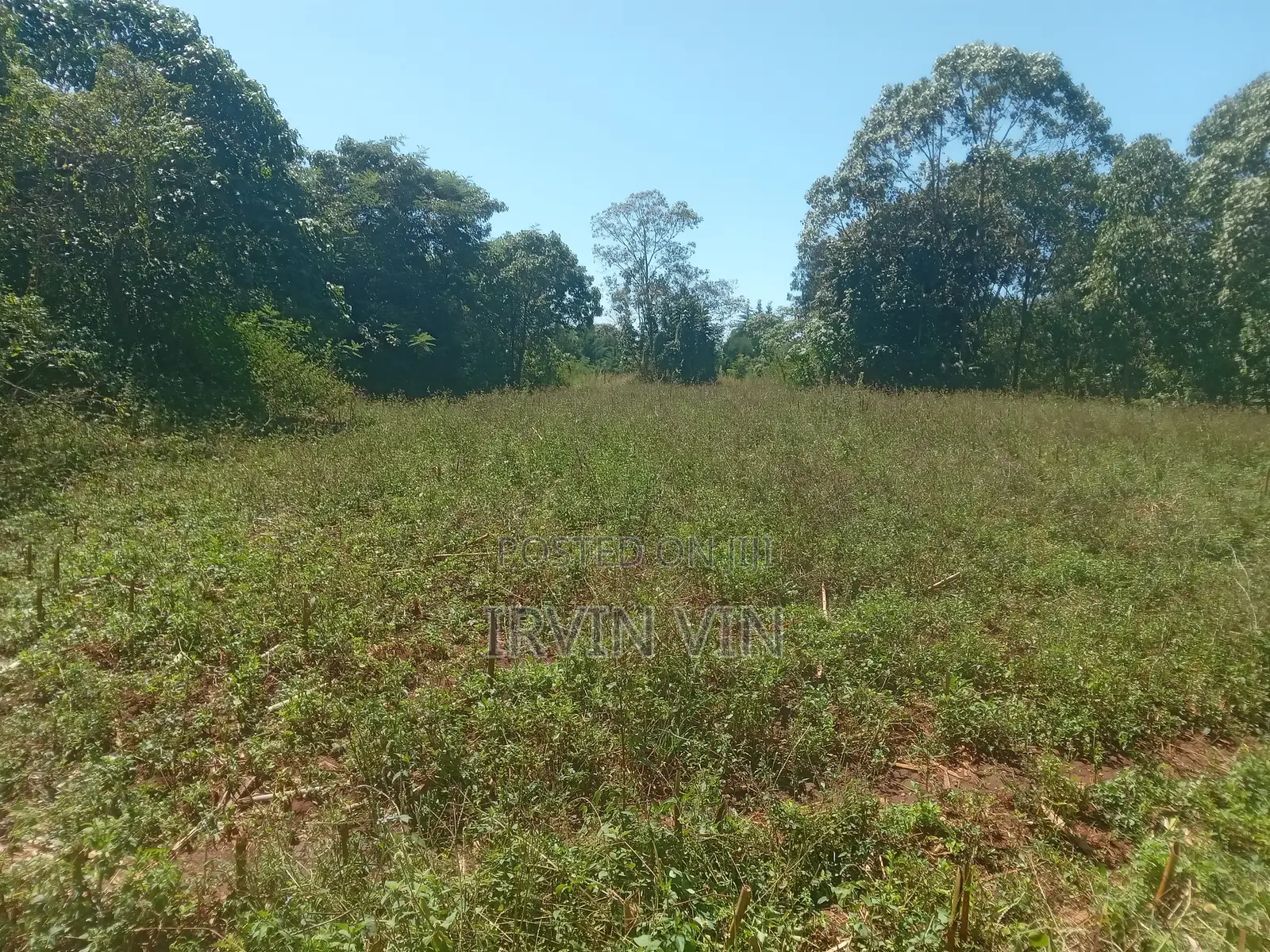 4.3 Acres Farm Land for Sale Plus a House(8 Rooms in Total)