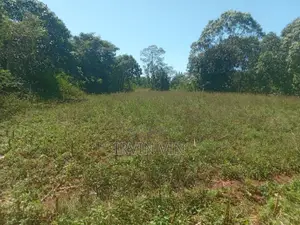 4.3 Acres Farm Land for Sale Plus a House(8 Rooms in Total)