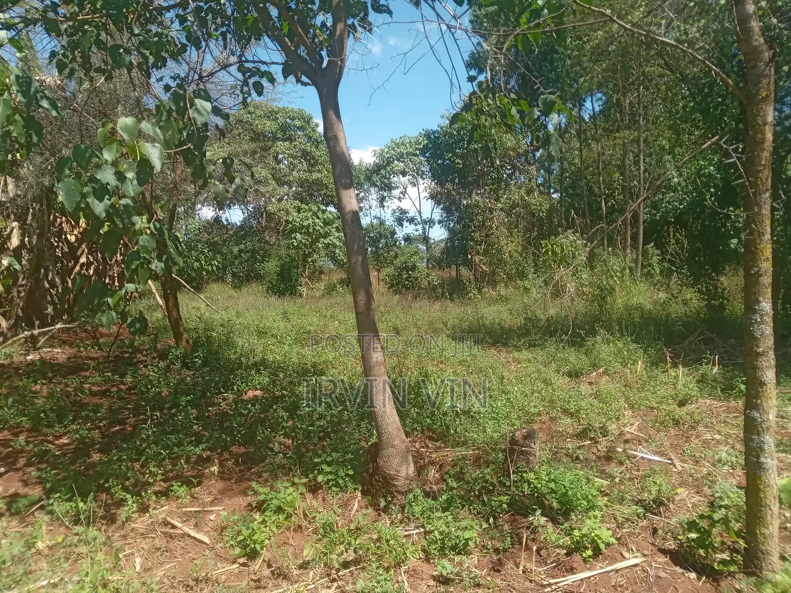 4.3 Acres Farm Land for Sale Plus a House(8 Rooms in Total)