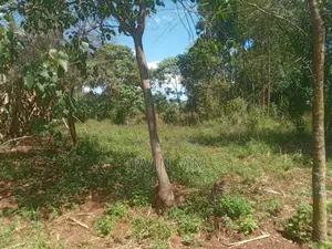 4.3 Acres Farm Land for Sale Plus a House(8 Rooms in Total)