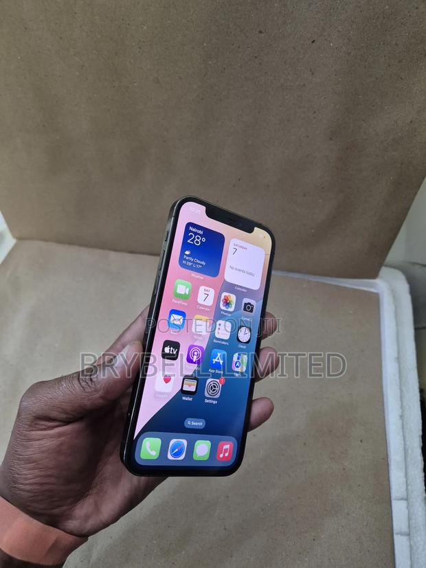 Apple iPhone 12 Pro 128 GB Gray