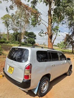 Toyota Probox 2013 Silver