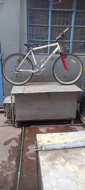 Ex Uk Size 26 Raleigh MTB 24 Speed