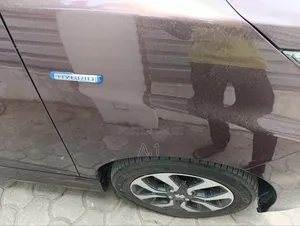 Suzuki Solio 2018 Brown