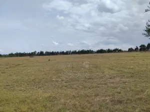 9 Acres Land for Sale in Racecourse Eldoret Estate
