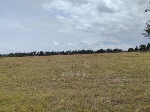 9 Acres Land for Sale in Racecourse Eldoret Estate