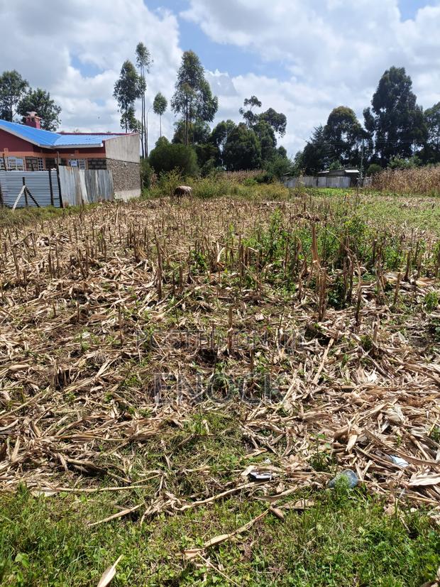 Prime Residential Plot in Rehema Outspan - thumbnail 3