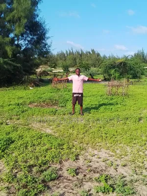 Beach Plot Second Row Near Kilimandogo Residence