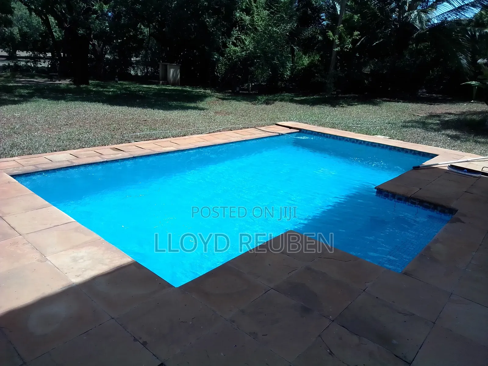 Pool Vacuuming