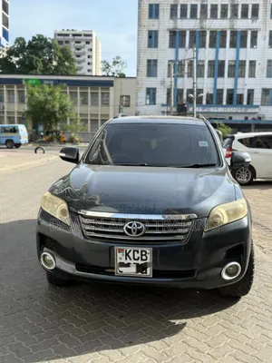 Toyota Vanguard 2008 Gray
