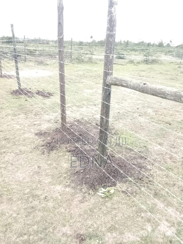 Narumoru Plots - thumbnail 3