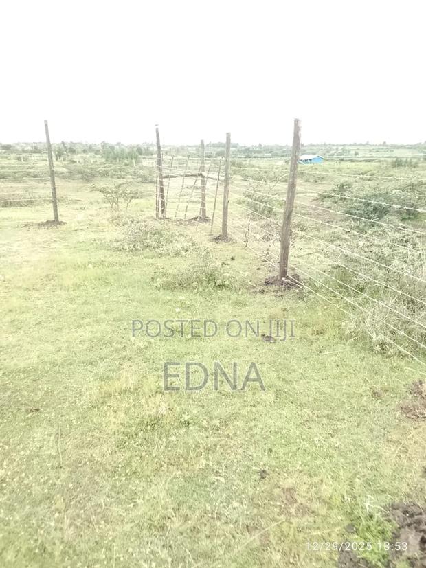 Narumoru Plots - thumbnail 4