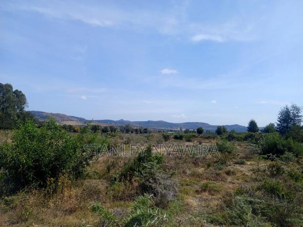 Two Acreas Available Fronting Tarmac - thumbnail 4