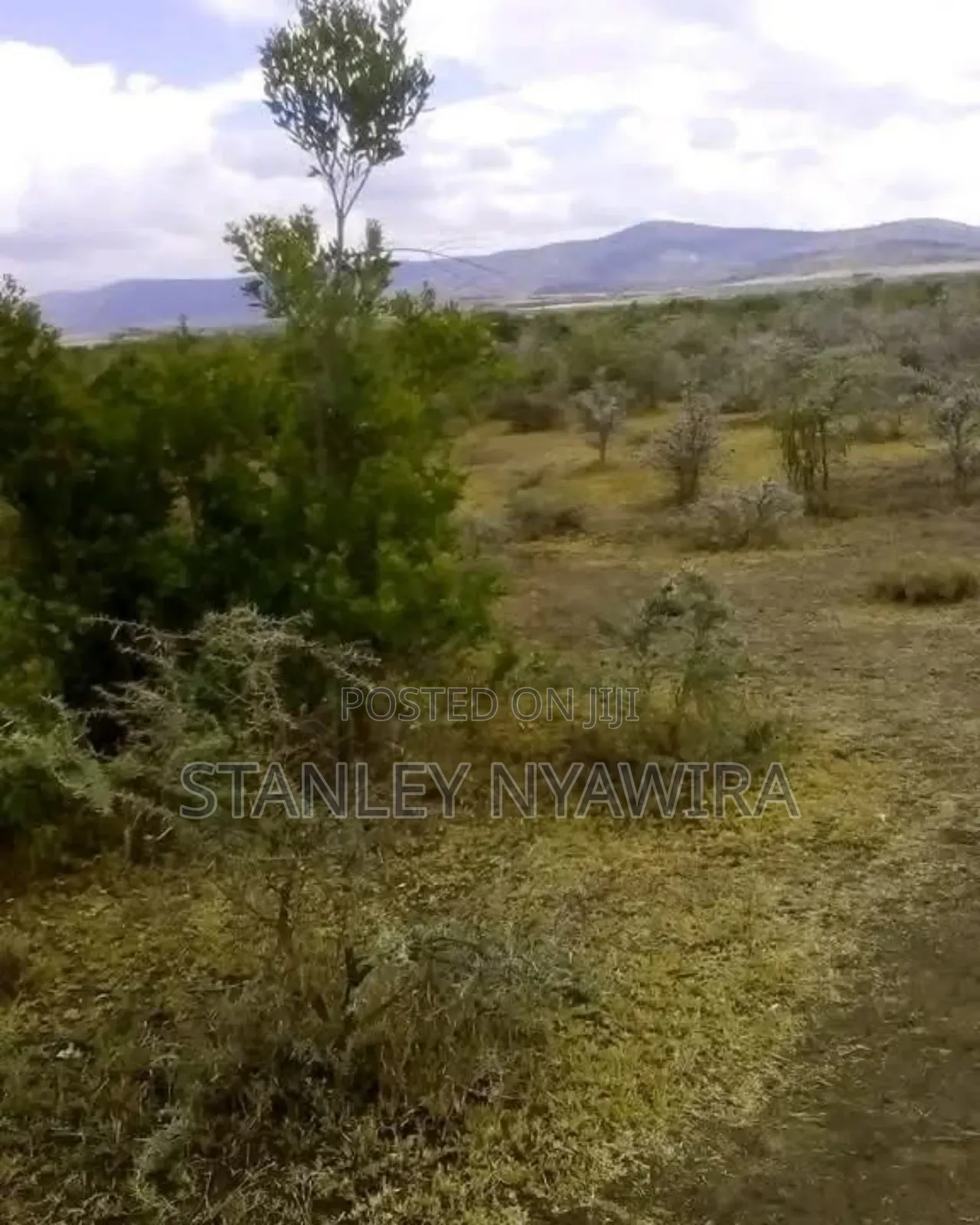 2 Acres Nanyuki Mukima