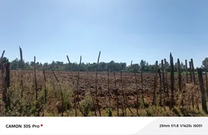 0ne Acre Mti Moja After Uoe, Good for Residential