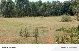 5 Acres Ngara Falls Vargin Land With Title