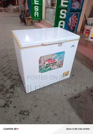 Freezer (Deep) Repair