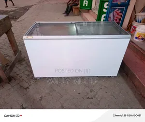 2- Deep Freezer Repairs