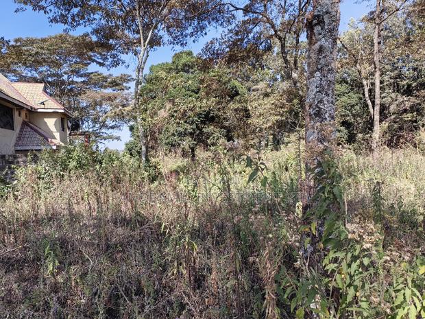 Half Acre for Sale in Ondiri Kikuyu Kiambu County. - thumbnail 8