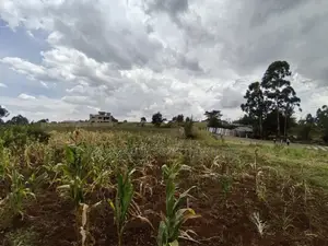 50x100 Plot for Sale in Mai-Aihii Gikambura Kikuyu Kiambu County.