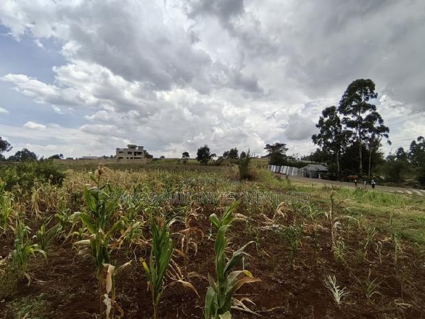 50x100 Plot for Sale in Mai-Aihii Gikambura Kikuyu Kiambu County. - thumbnail 3